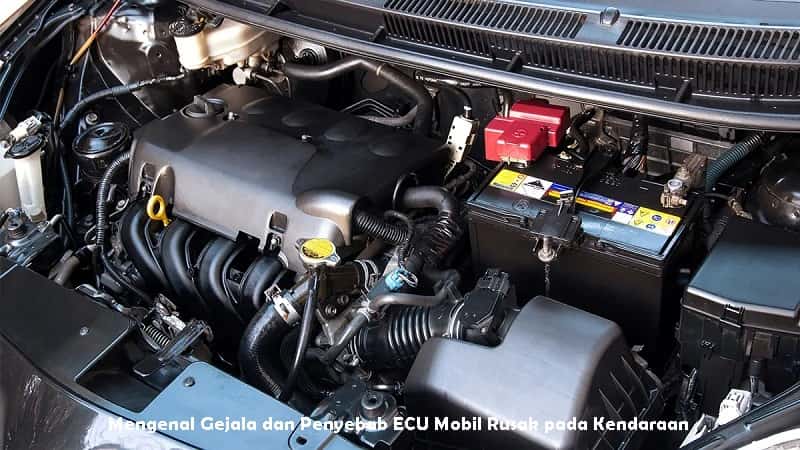 Mengenal Gejala dan Penyebab ECU Mobil Rusak pada Kendaraan